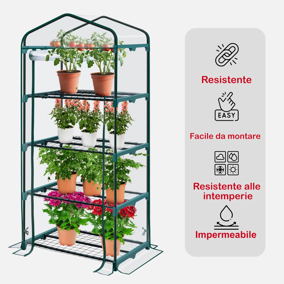 KANWOD KGAGH-1550 - Serra da Giardino con 4 Ripiani, con Porta Arrotolabile, Trasparente, Stabile e Facile da Montare, Serra per Piante da Esterno per Balcone, Terrazza e Giardino, 158 x 68 x 50 cm