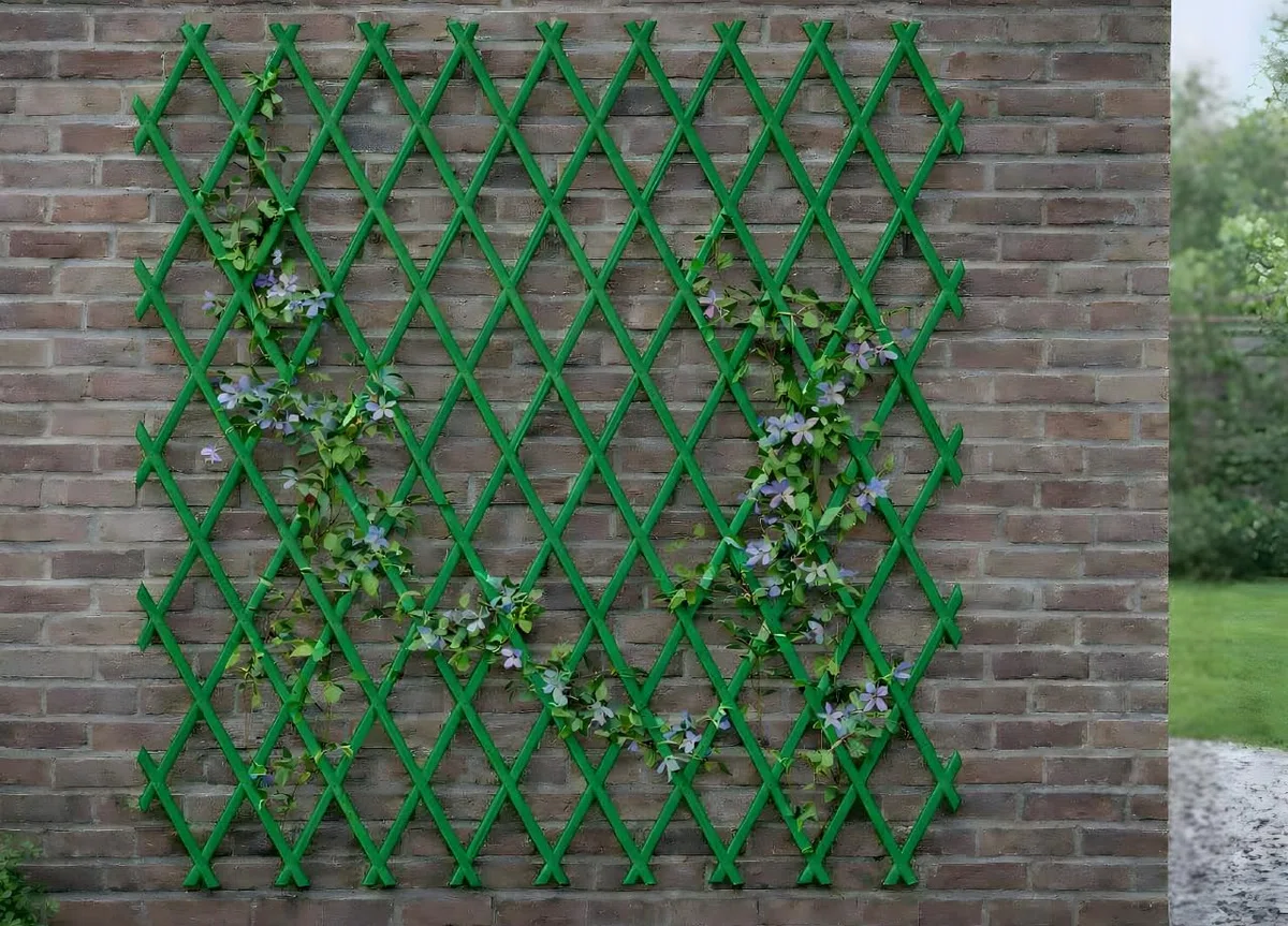 BIANCHERIAWEB Traliccio Estensibile in PVC per Piante Rampicanti Recinzione Giardino Balcone 100x200 Verde