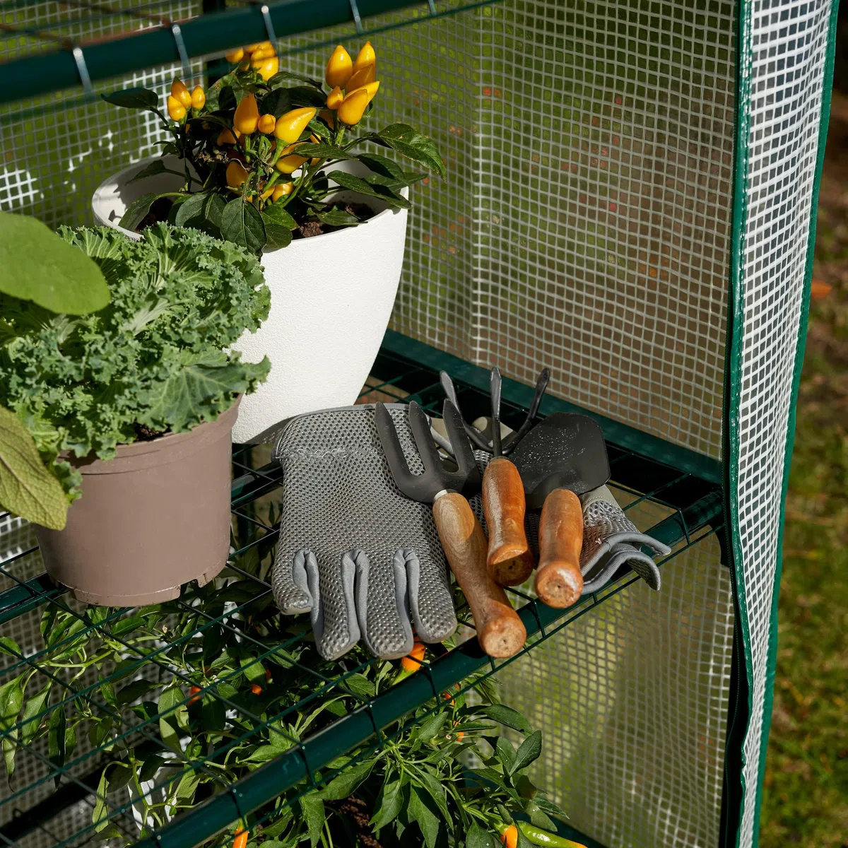 Serra Verticale da Giardino: La Soluzione Ideale per Coltivare Piantine, Pomodori, Cetrioli e Talee di Semi - 4 Livelli con Ripiani in Filo Metallico - Facile da Montare - Dimensioni 69 x 49 x 160 cm