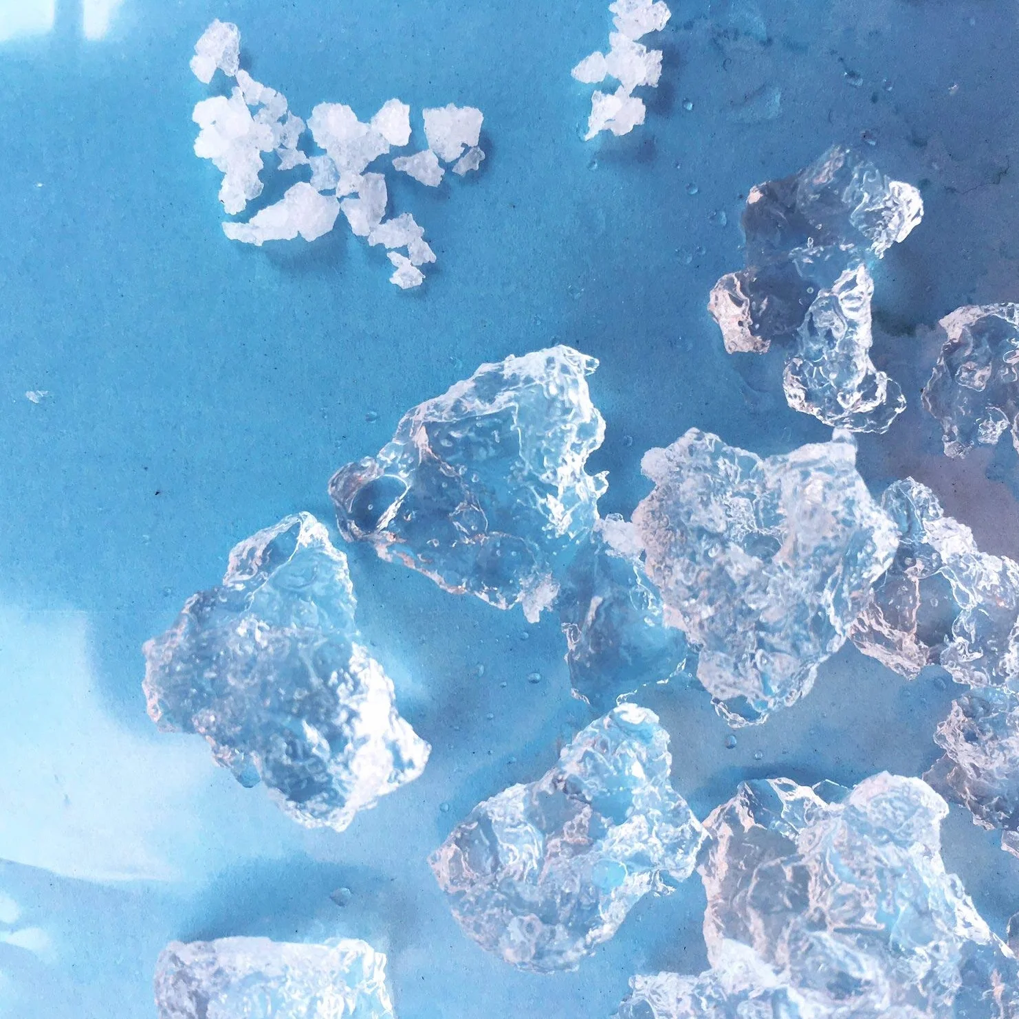 Idrogel per Piante, Granuli a lunga trattenuta, Gel ad acqua (1Kg)