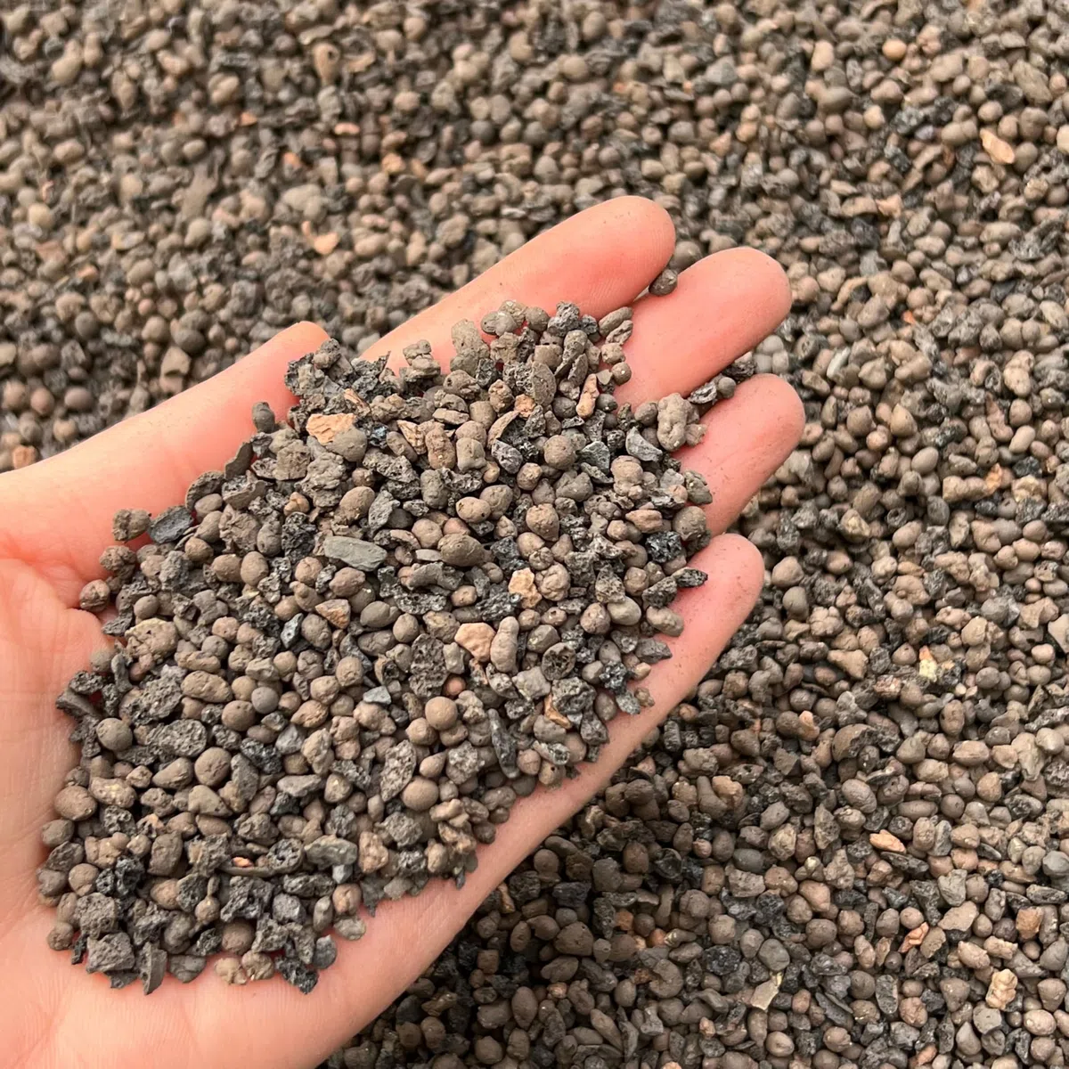 Leca - Grana per orticoltura, ciottoli di argilla, pietra lavica, grado fine 2-4 mm, 1 l (3 l)