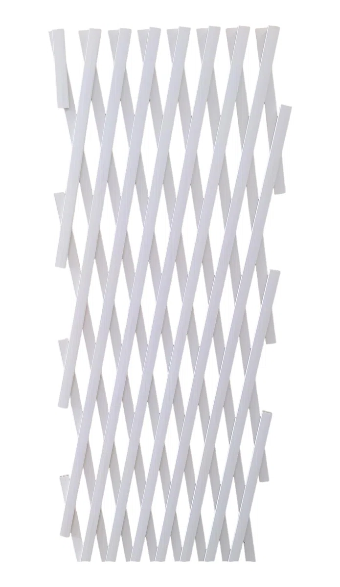 NG NICCOLAI - TRALICCIO ESTENSIBILE IN PLASTICA VARI COLORI E MISURE (1X1 MT, BIANCO)