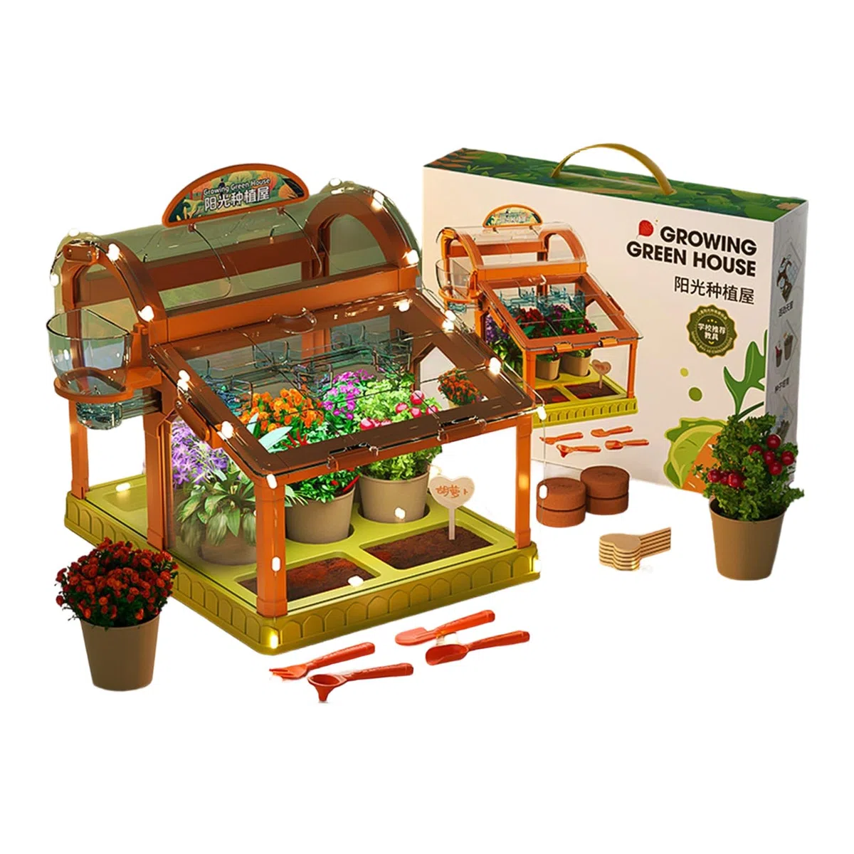 Set da giardinaggio per bambini con illuminazione a LED integrata in acrilico trasparente piccola serra per piantare casa divertente serra educativa