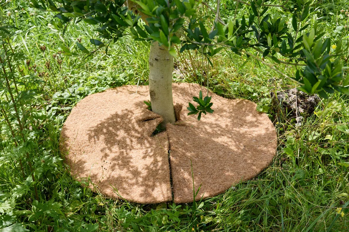 La cordeline 10 Dischi di pacciamatura in Fibra di Cocco Naturale, Ø 30 cm, 900 g/m², Tappetino di Protezione Contro Le Erbacce, Isolamento Termico e Protezione Naturale delle Piante