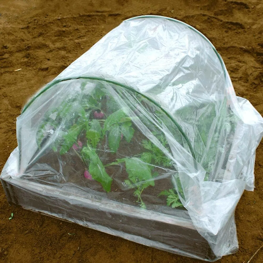 Telo e serra Trasparente 2 x 6m, Protettivo Addensare Resistente agli Strappi, Protezione UV 5, Tela Plastica
