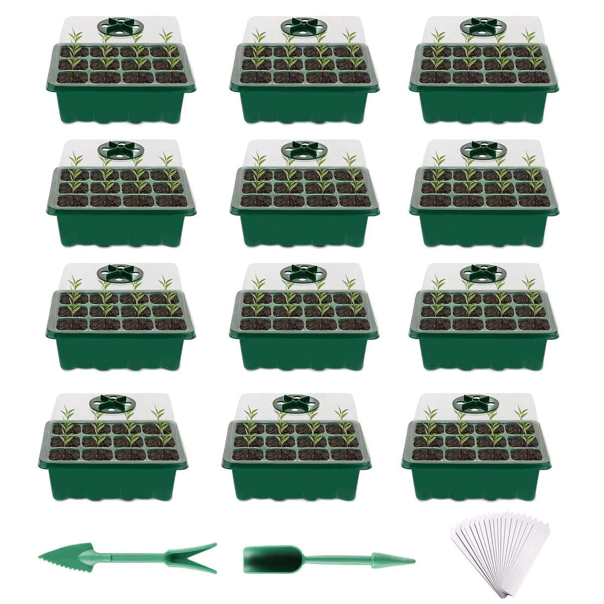 Vassoio Germinazione, 12 Pezzi Scatola di Germinazione, 12Fori Set di Propagazione dei Semi, Vassoi per Piante con Cupole Ventilate, per Germinazione, Strumento di Coltivazione in Mini Serra