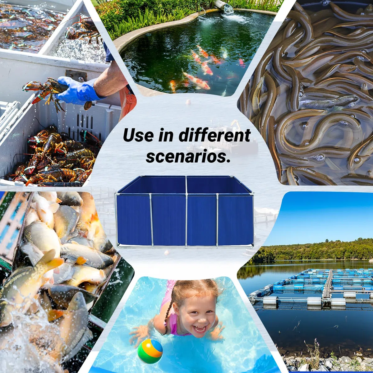 Stagno di allevamento temporaneo della tela del PVC con il sistema di drenaggio per stoccaggio all'aperto dell'acqua, progettato per gli organismi marini, 3x1x0.5m, durevole ed affidabile