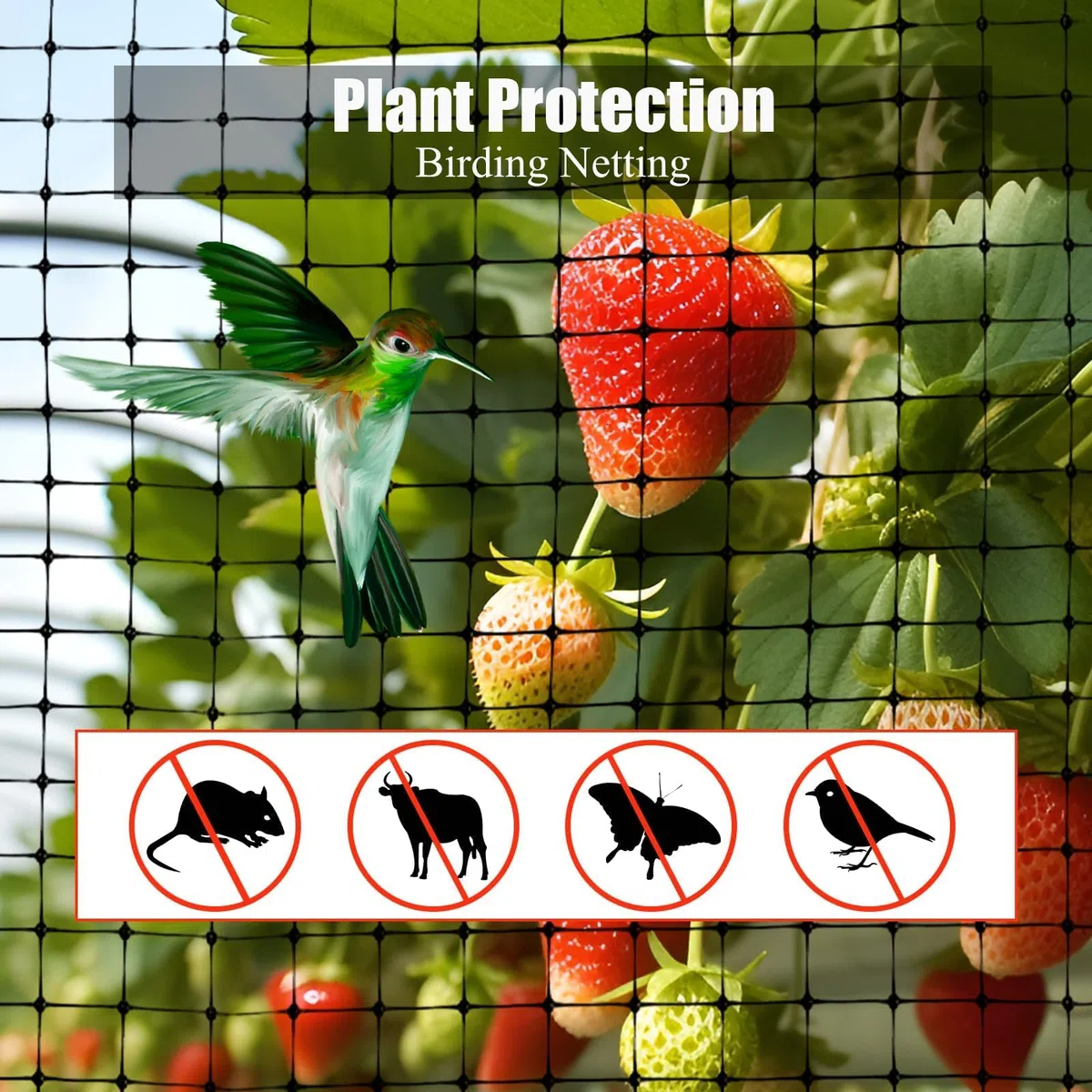 Rete anti Uccelli, 4 X 10m Rete per Uccelli Protezione, Rete Antiuccelli con 50 Pezzi Fascette, Rete da Giardino Proteggere Ortaggi Frutti Fiori da Uccelli Animali Parassiti