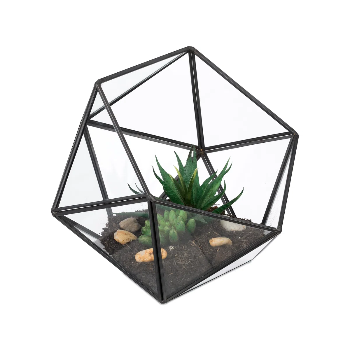 Relaxdays Terrario Piante, Mini Serra Vetro e Zinco, HLP 16x17x20 cm, Piantine Grasse e Muschi, Vaso Ecosistema, Nero