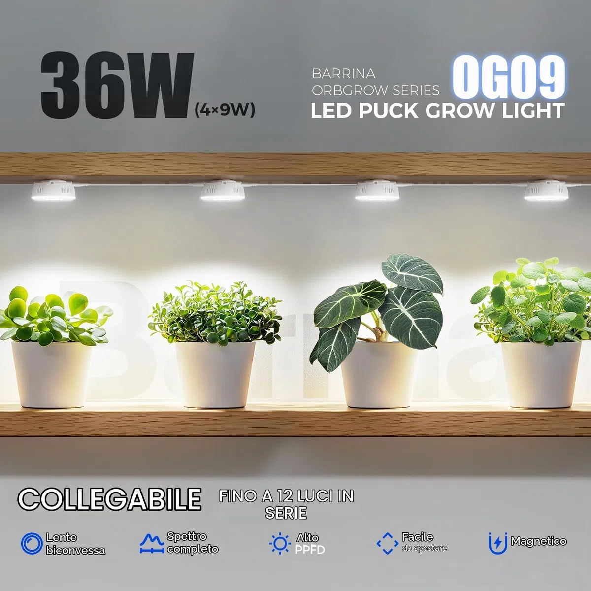 Barrina Orbgrow OG09 Puck Grow Light, 5000 K 36 W (4 x 9 W, 540 Watt Equiv), luce a spettro completo per piante da interno, magnetica e collegabile con timer, 5 livelli dimmerabili per mensole per