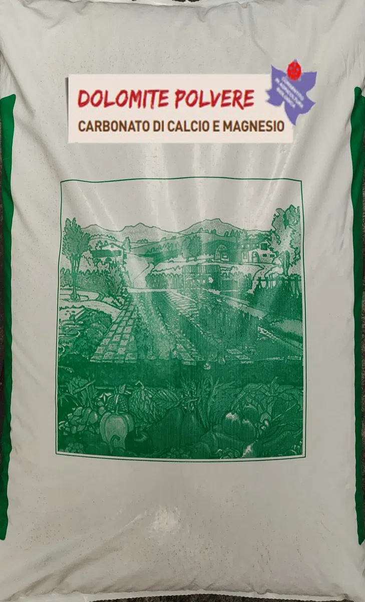 Dolomite Polvere 25KG CARBONATO di Calcio E MAGNESIO CONCIME CORRETTIVO Consentito in Agricoltura Biologica