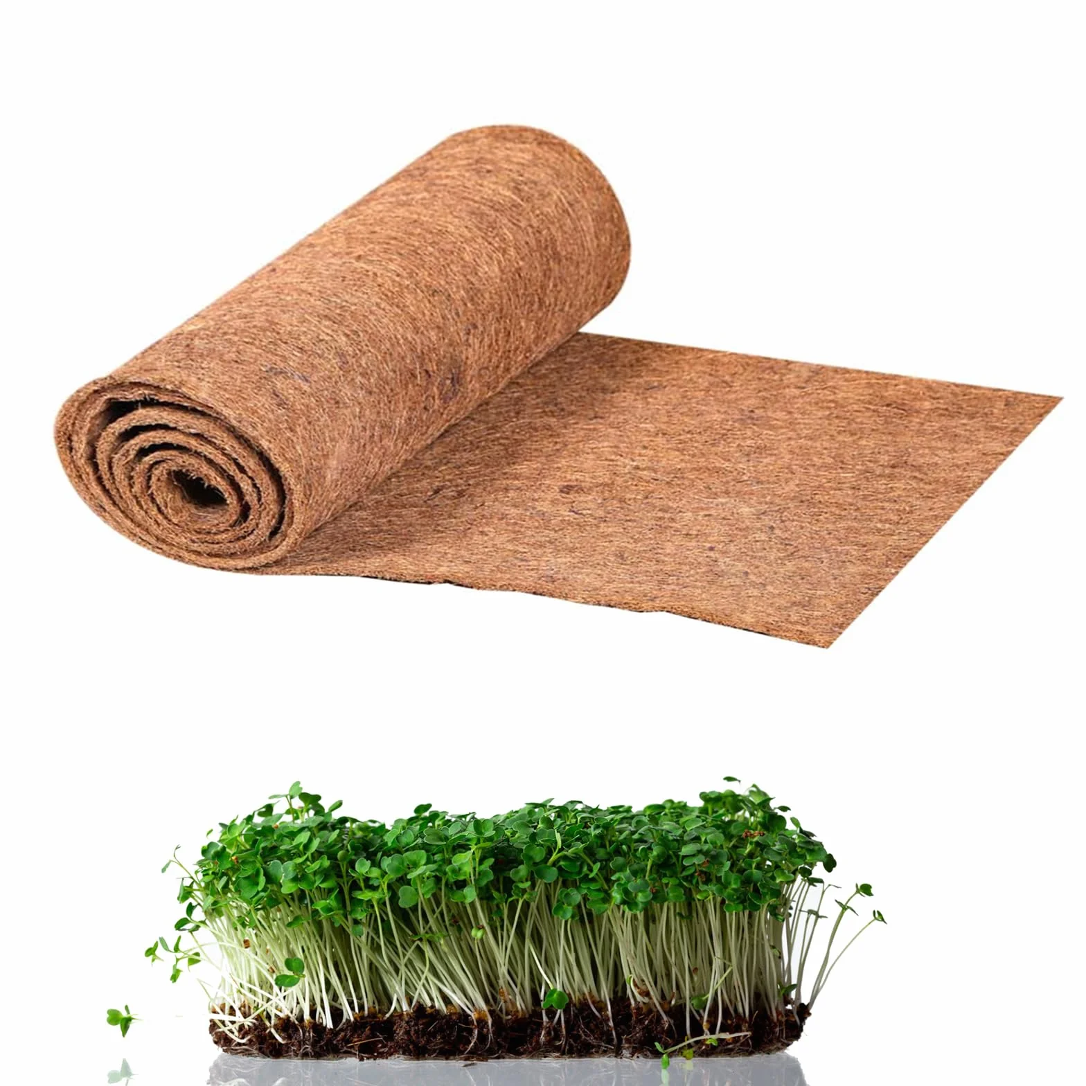 Tappetino da coltivazione in Fibra di cocco 25x400 cm per la coltivazione di grumi e germogli