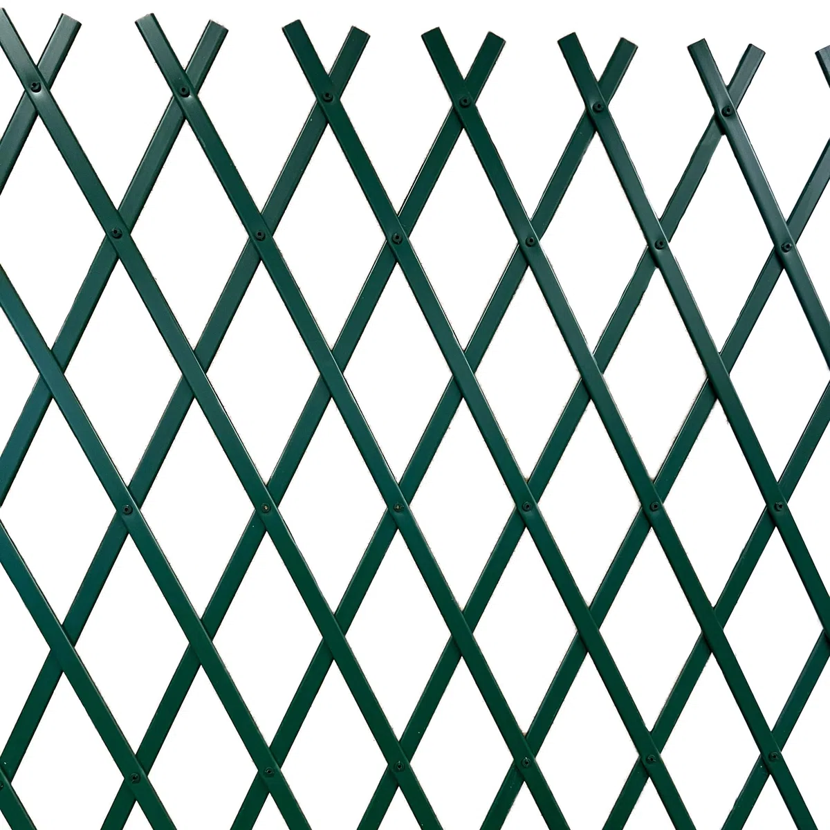 TENAX Treplas 100x300 cm, Verde, Traliccio Estensibile in PVC per Sostegno a Muro di Fiori e Piante Rampicanti