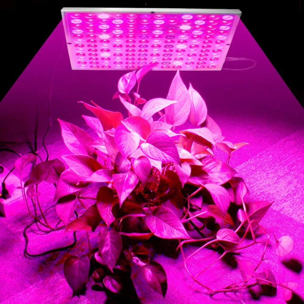 ele ELEOPTION Lampade per Piante Spettro completo LED coltiva la luce, Perfetto per Coltivazione Indoor Serra idroponica Grow Box Verdura Fiore Semina Crescita fioritura e fruttificazione (45W)