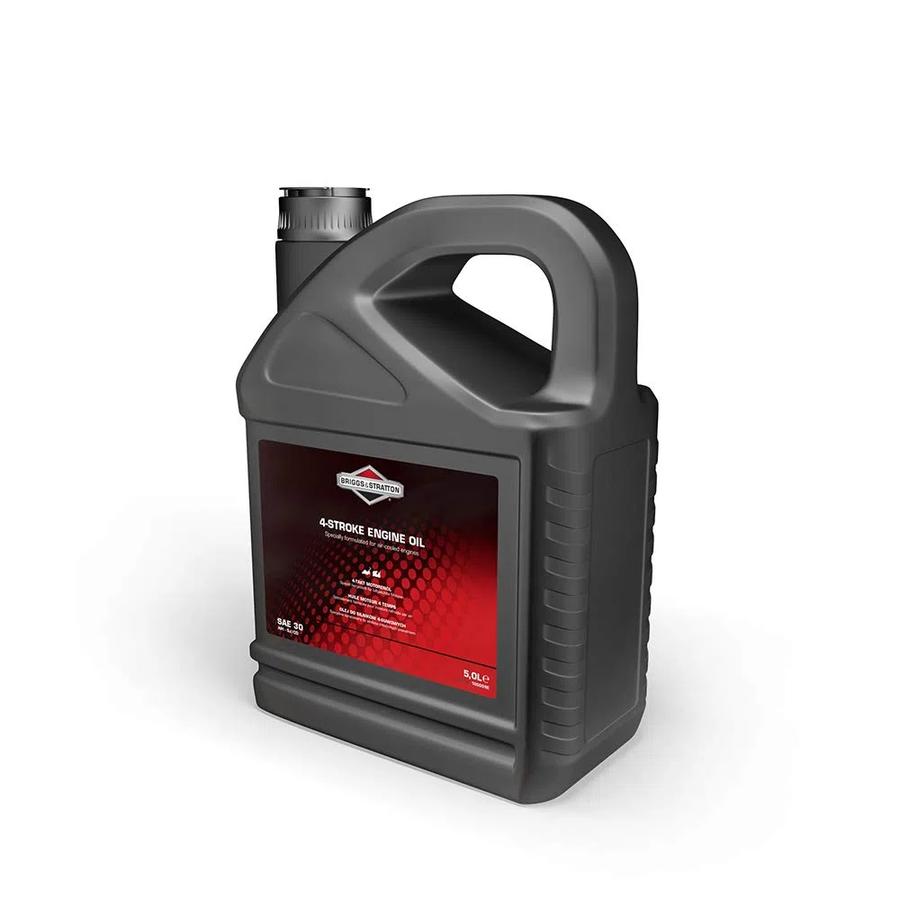 Arnold BS-100009E - Olio originale Briggs and Stratton per motore a 4 tempi uso estivo SAE 30, 5 litri
