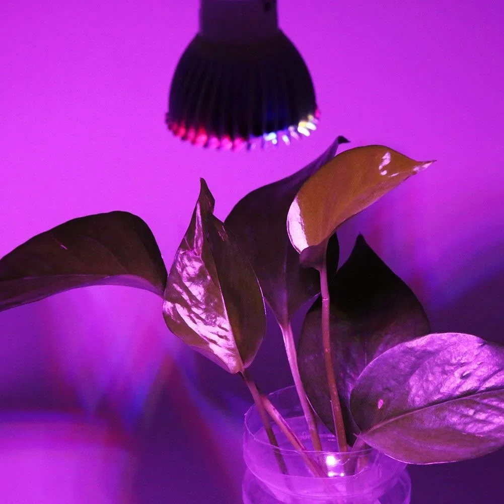 Delaman Lampadina per lampada da coltivazione 28 W a spettro completo a LED per coltivare la luce per piante da fiore 85 V-265 V (design: E14)