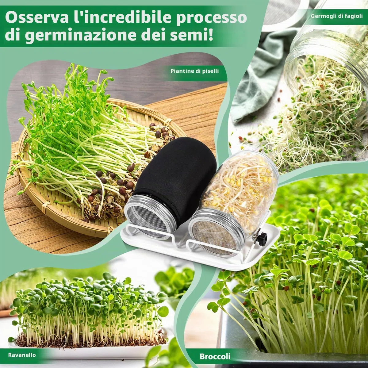 Barattolo Germogliatore Set,2 1000ml Germogliatore in Vetro, 2 Coperture, 2 Supporti e 1 Vassoio,2 Manicotti Oscuranti,1 Spazzola,Kit di Barattoli per Germogliamento di Semi per Broccoli Germ