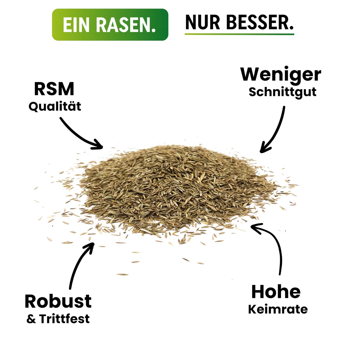 Greenyp® Ultimate I Premium RSM - Erba ombreggiata con 100% RSM, 5 kg per 200 m², seme di erba, seme di erba per luoghi ombreggiati e asciutti