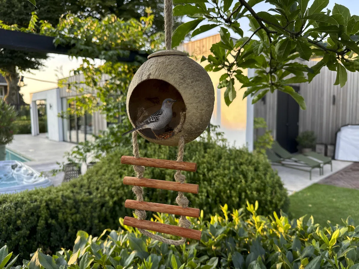 Casetta per uccelli realizzata a mano in cocco – Ciotola di cocco riciclata, mangiatoia per uccelli in stile scala, resistente alle intemperie per piccoli uccelli, rettili, amanti del giardino
