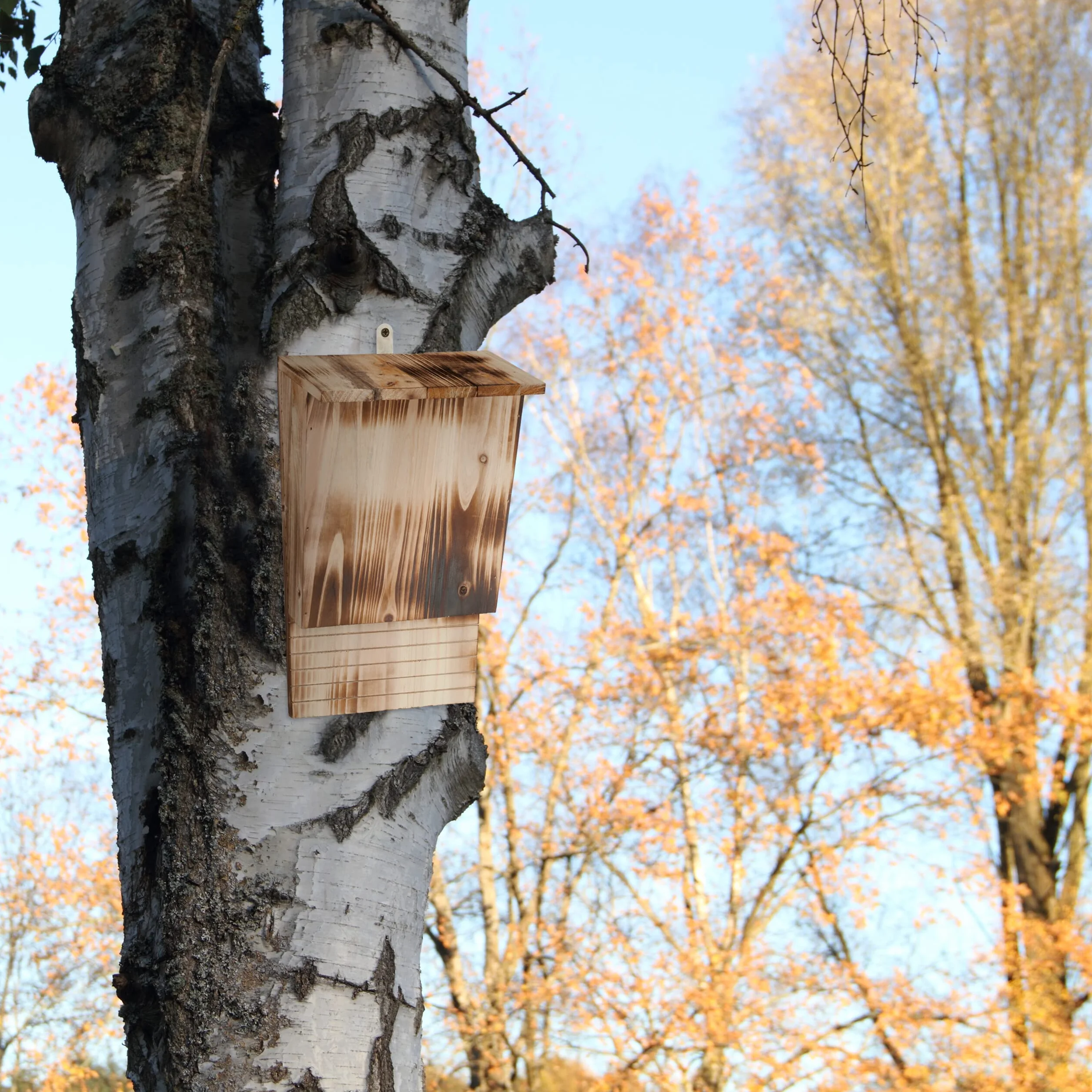 Relaxdays Rifugio per Pipistrelli, Nido Casetta XL, Pipistrellini, Bat Box, Bathouse, HLP: 37x22x12,5 cm, Legno, Marrone