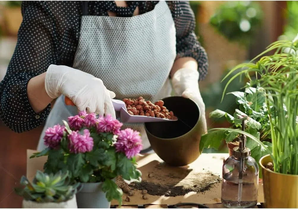 ARGILLA ESPANSA DA 10 LT PER PIANTE DRENAGGIO ACQUA GIARDINAGGIO ISOLAMENTO GRANULI DI ARGILLA (2)