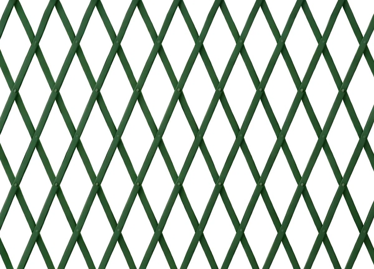 BIANCHERIAWEB Traliccio Estensibile in PVC per Piante Rampicanti Recinzione Giardino Balcone 100x200 Verde