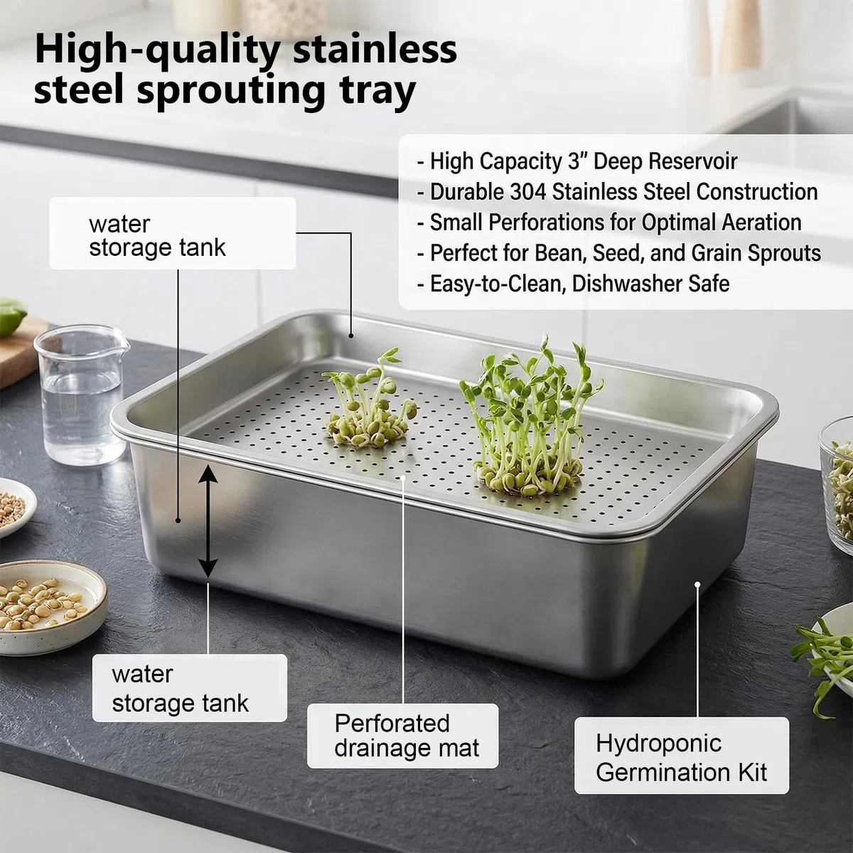 Set 2 Vassoi Germinazione in Acciaio Inossidabile 2 in 1 26 x 19 cm con Colino Fine e Vassoio per Germogli Crescita Microgreens Erba di Grano Riutilizzabile Anti-Ruggine Lavabile in Lavastoviglie