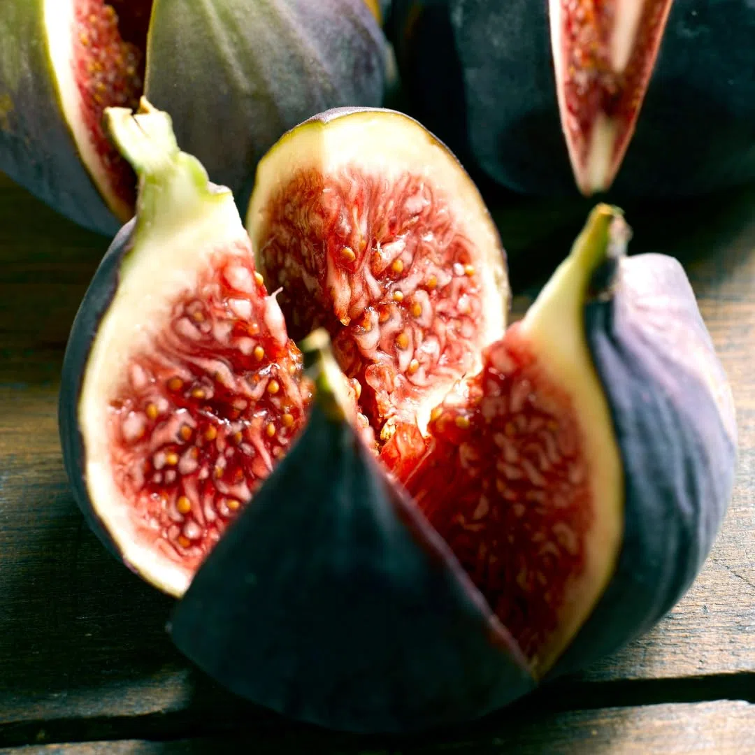 EURO PLANTS Fico Brogiotto Nero Pianta da Frutto Antico Età 2 Anni | su Vaso: ø 20 cm. - *Altezza: 150-170 cm