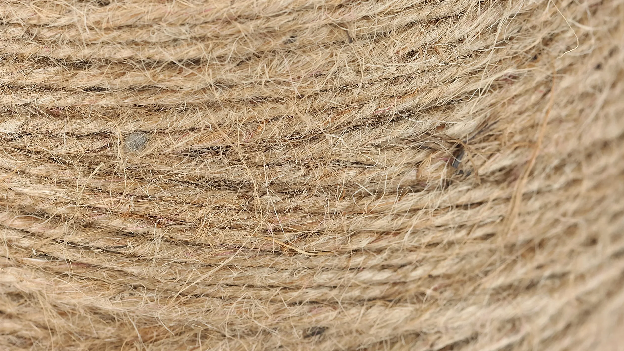 Rayher 4200331 Cordone Iuta, 3-x 3.5 mm ø, Rocchetto 280 m, Cordoncino Decoro per Lavori Creativi, Marrone (Naturale)
