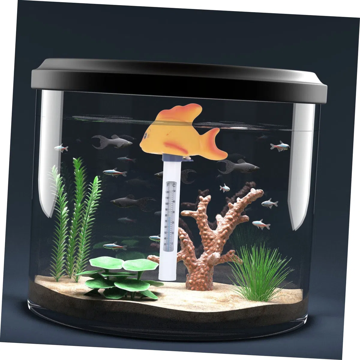 Sosoport 5pezzi Termometro Galleggiante Per Piscina Forma Di Pesce Termometro Per Temperatura Con Display Duale Fahrenheit e Celsius Giocattolo Da Bagno Adorabile Per Design e Divertente