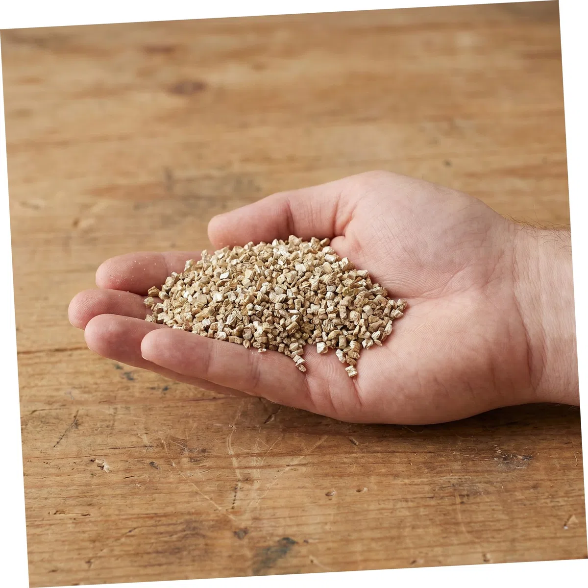 GALPADA Vermiculite Granulare 52, 8 Oz per Giardinaggio e Semina | 1 Sacchetto, Ammendante per Substrato e Aerazione del Suolo, Supporto per Germinazione e Funghi