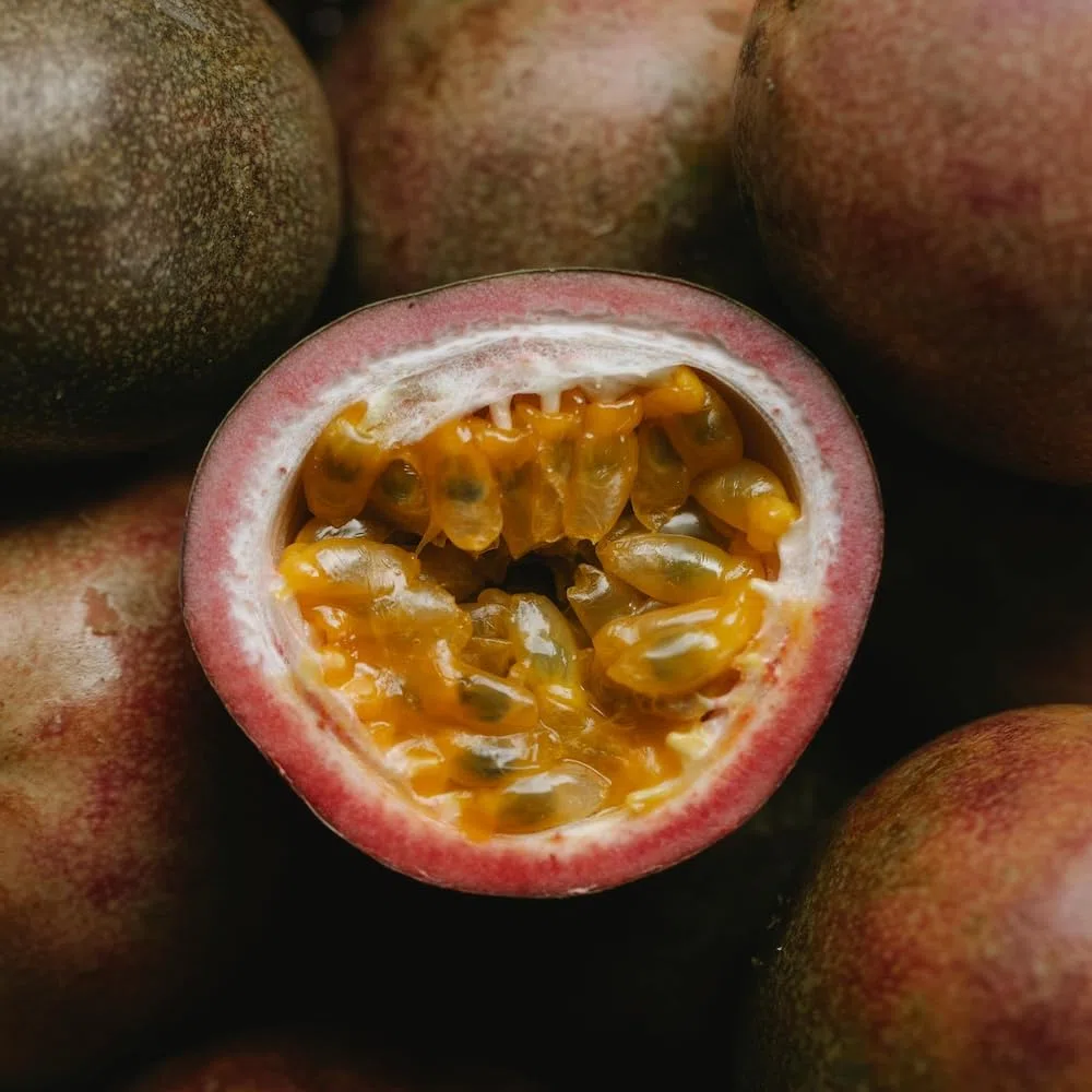 AMDGarden Pianta di Passiflora Caerulea Frutto della Passione Passion Fruit Rampicante per Esterni Fiori Bianchi e Blu Originaria del Sud America