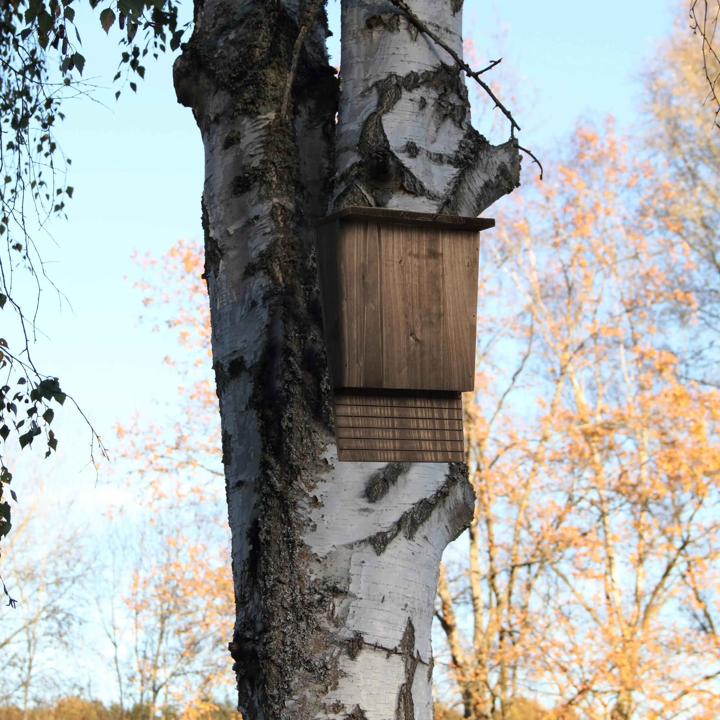 Relaxdays Rifugio per Pipistrelli, Nido Casetta XL, Pipistrellini, Bat Box, Bathouse, HLP: 37x22x12,5 cm, Legno, Marrone