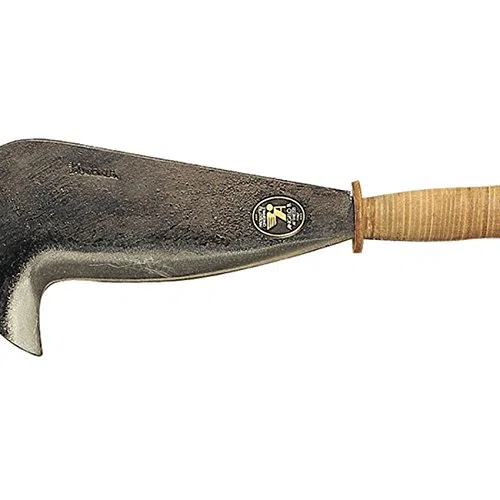 Angelo b. roncola maremma cm. 30
