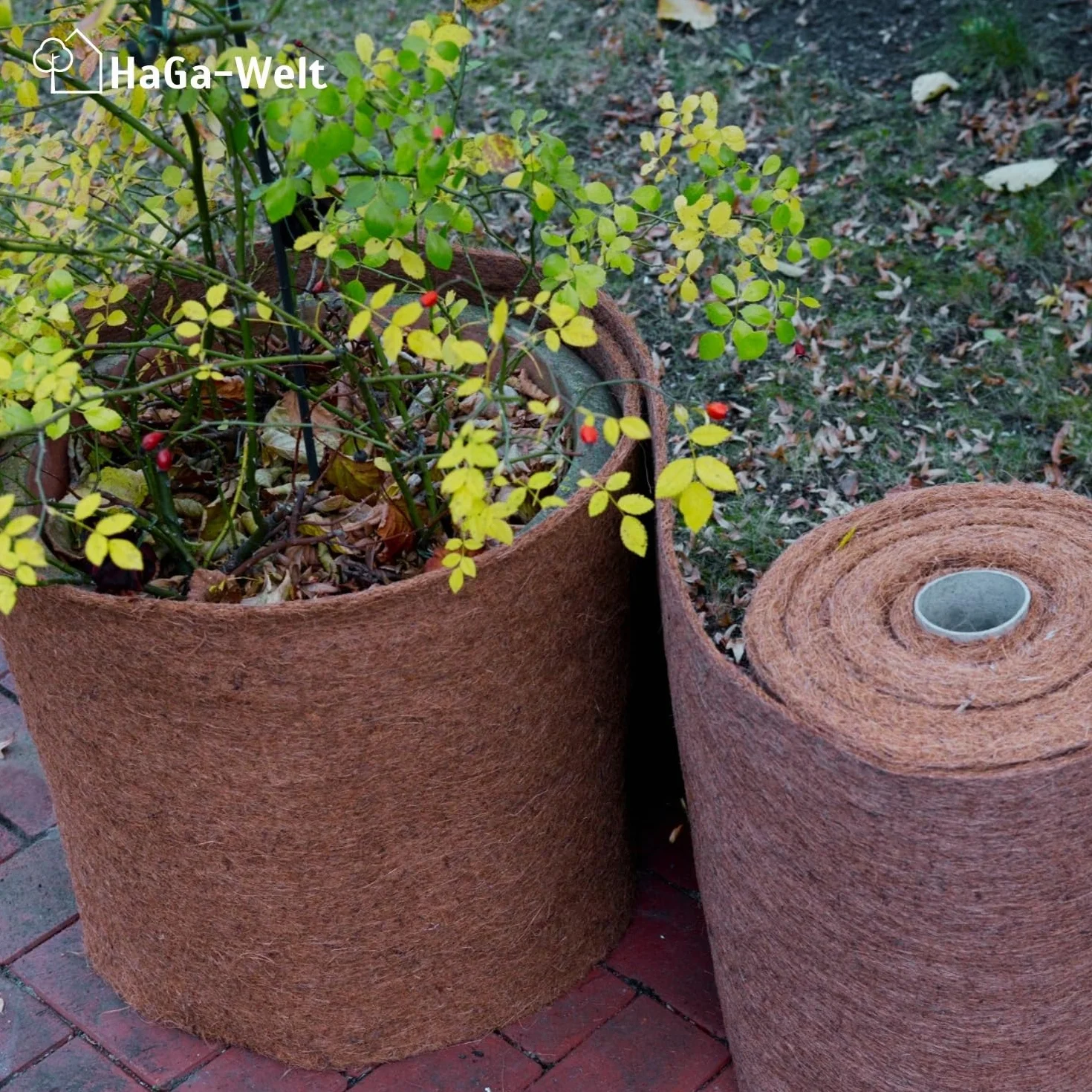HaGa® Tappetino in cocco 1 m x 5 m con protezione invernale 800 g/m², spruzzato su un lato con lattice naturale, prodotto naturale 100% biodegradabile