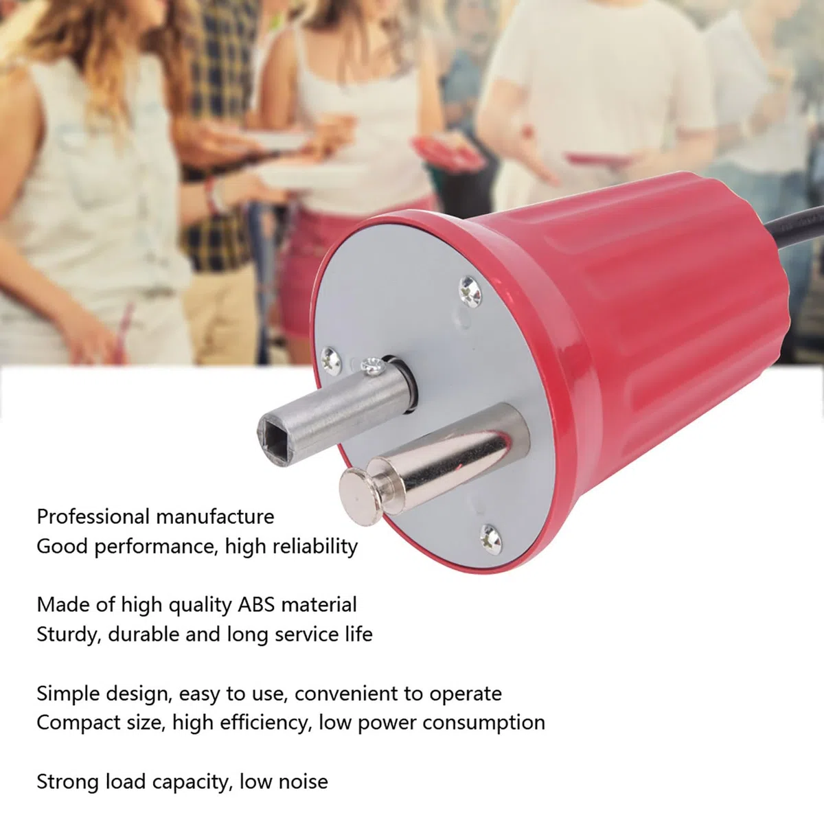 Motore per Griglia per Barbecue, FD801B Motore Girarrosto Motore Rotatore per Barbecue Accessori per Barbecue All'aperto Strumento per Barbecue, Grigliate e Picnic (Spina UE 250V)