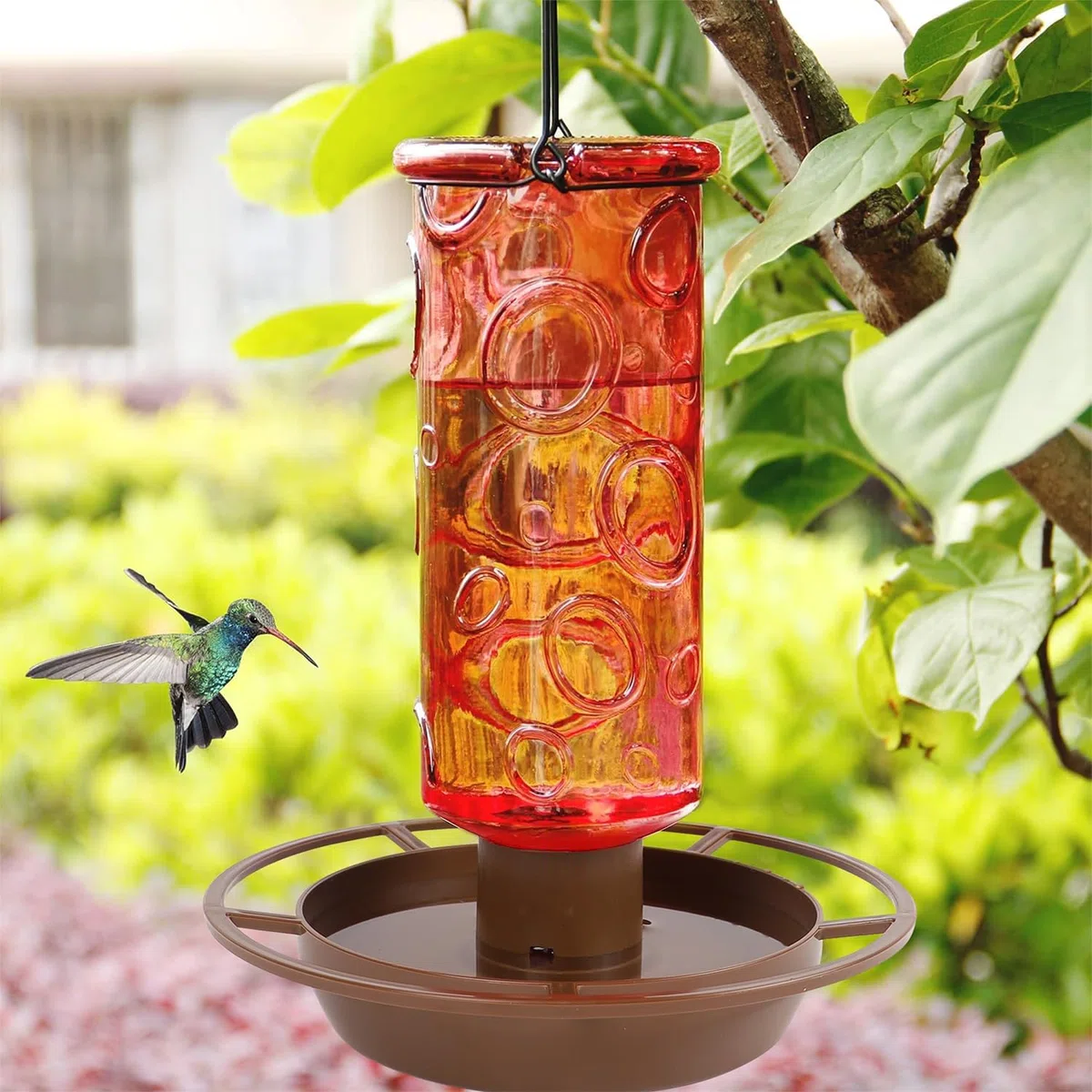 Juegoal Abbeveratoio per uccelli selvatici in vetro, 880 ml, per esterni, refrigeratore d'acqua con manico in metallo da appendere, decorazione esterna per giardino, albero, cortile, rosso