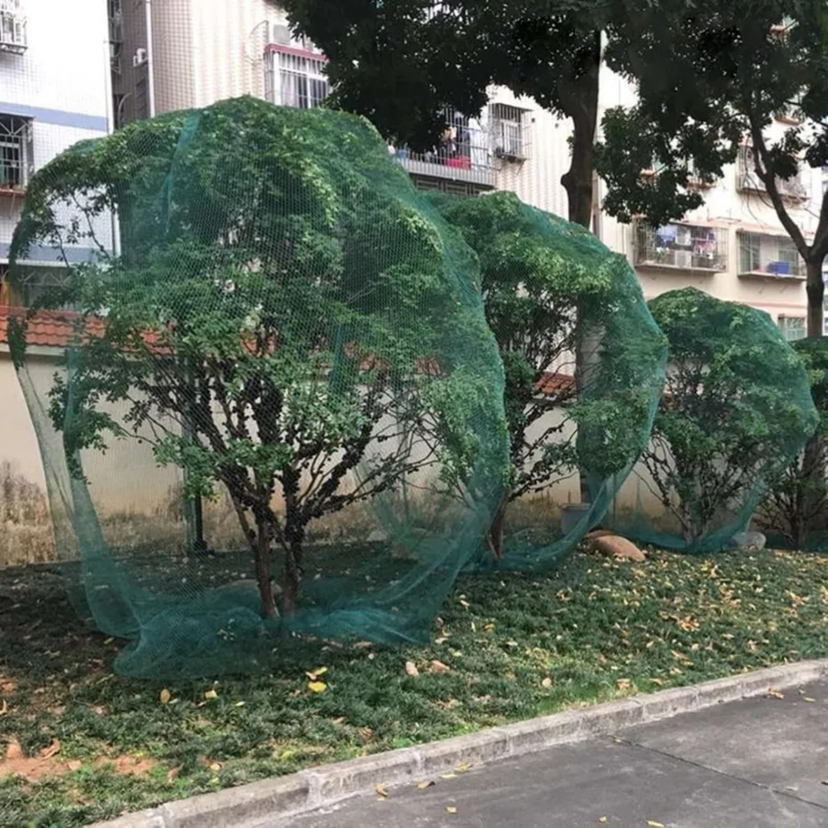 Reti verdi for uccelli Bacche Cespugli a traliccio for giardino Piante/alberi da frutto/verdure/animali Recinzioni in filo di nylon(10x10/33x33ft)
