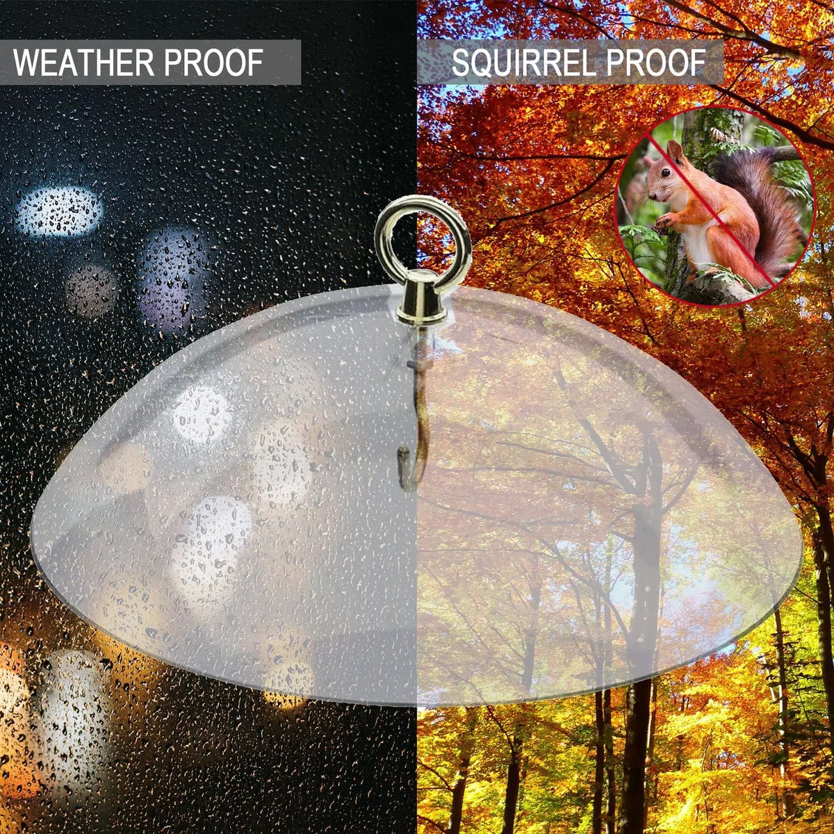 Dome protezione da scoiattolo a cupola protettiva per mangiatoie per uccelli selvatici copri a cupola chiara per gli accessori per alimentari da colibrì appesi all'aperto accessori