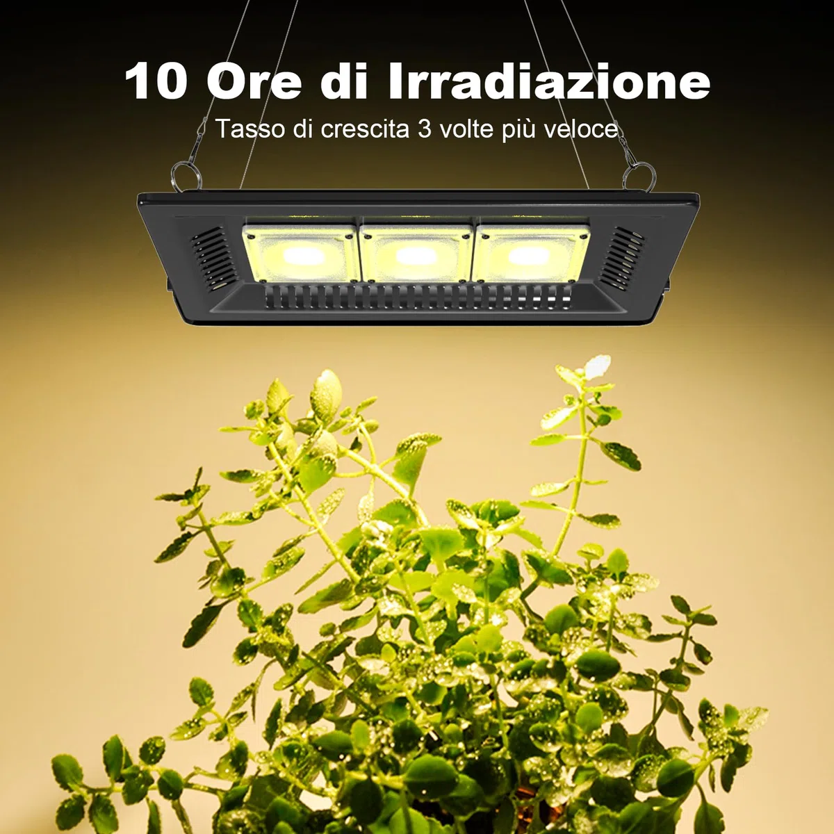 Profey Lampada per Piante, P600 Grow Light Spettro Completo LED, Impermeabili IP67 Lampade Piante COB,Luce Piante per Coltivazione di Ortaggi in Serra e Interno,Tutto L'Anno