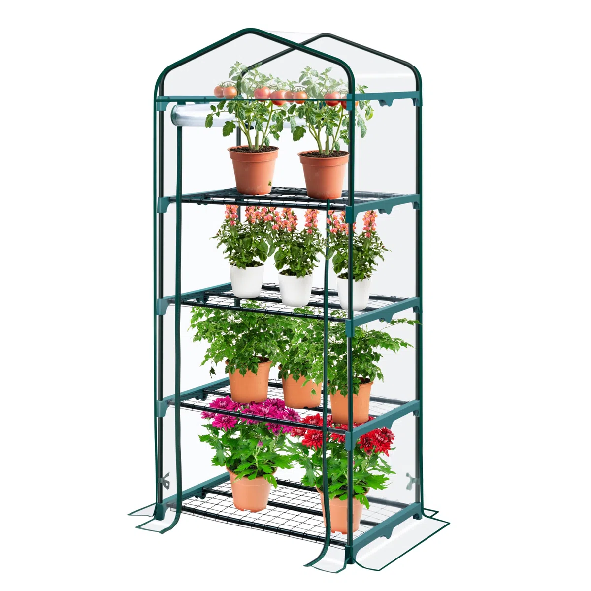 KANWOD KGAGH-1550 - Serra da Giardino con 4 Ripiani, con Porta Arrotolabile, Trasparente, Stabile e Facile da Montare, Serra per Piante da Esterno per Balcone, Terrazza e Giardino, 158 x 68 x 50 cm