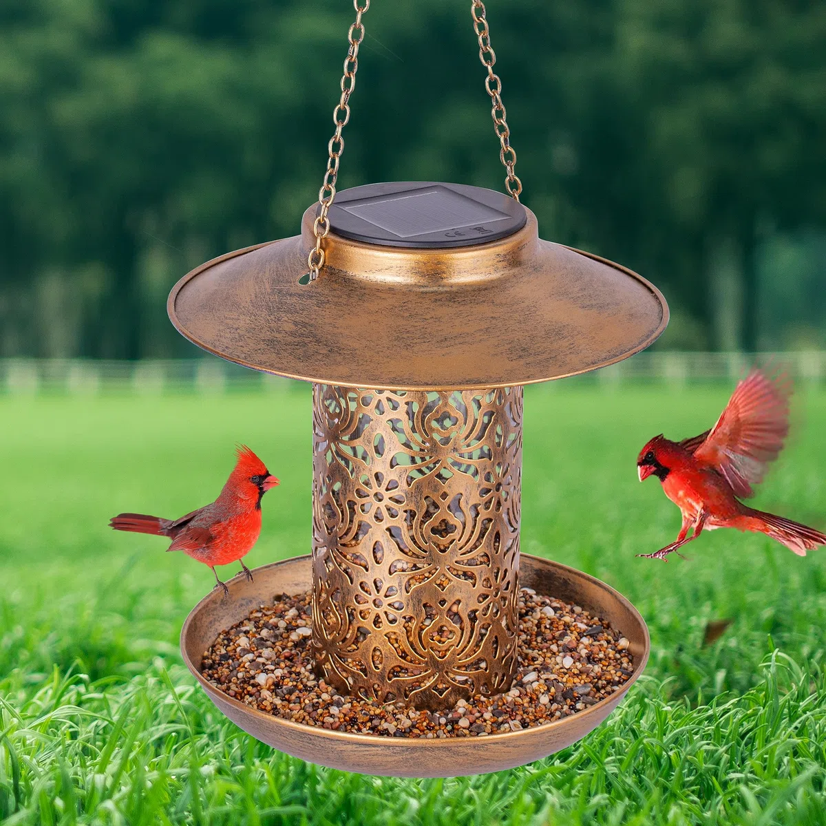Ottsuls Mangiatoia solare per uccelli da appendere all'aperto, lanterna da giardino in metallo con gancio a S, resistente alle intemperie e all'acqua, idea regalo per gli amanti degli uccelli (bronzo)