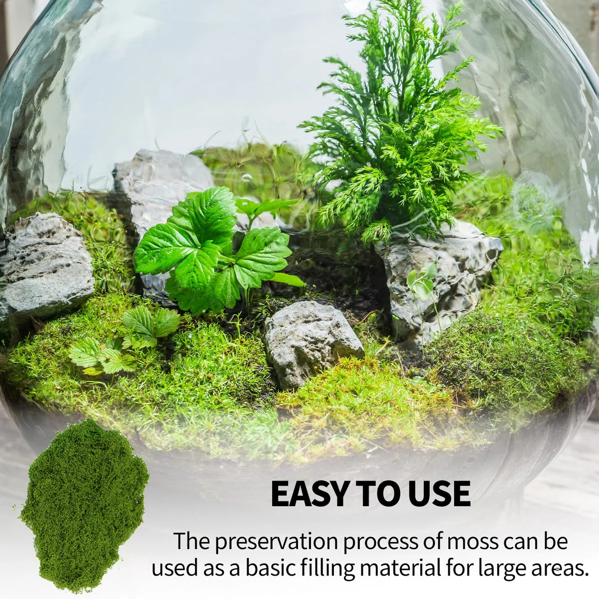 205 g, muschio per fai da te, muschio artificiale, muschio islandese, muschio islandese, presepe terrario, Moss acquista muschio naturale, decorazione, arte finte, decorazione per pareti, presepi