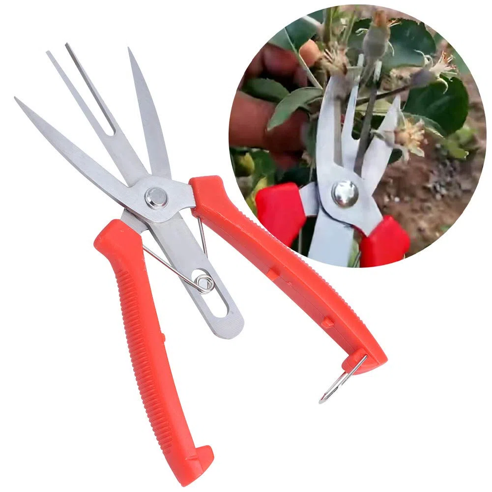 TOPINCN Cesoie per Potatura Attrezzi Agricoli Potatore Giardinaggio Forbici per Potatura di Mele Cesoie a Doppia Bocca Forbici per Alberi di Pero per Fiori Diradati in Acciaio Inossidabile