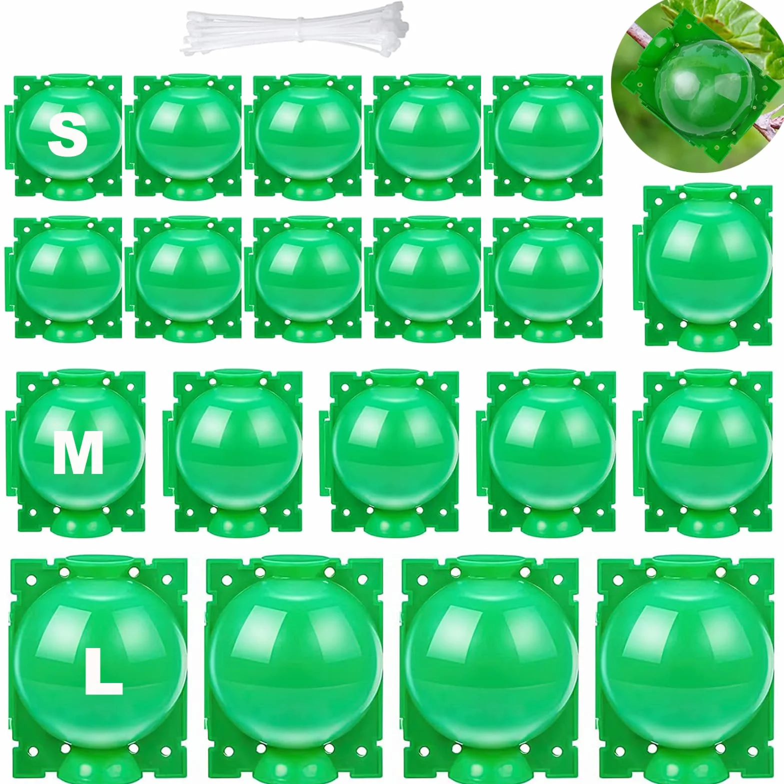 20 Pezzi Scatola Radicamento Piante, Dispositivo di Radicazione delle Piante Palline per Propagazione ad Alta Pressione per Innesto da Giardino Coltivazione di Radici (S+M+L) (Verde)