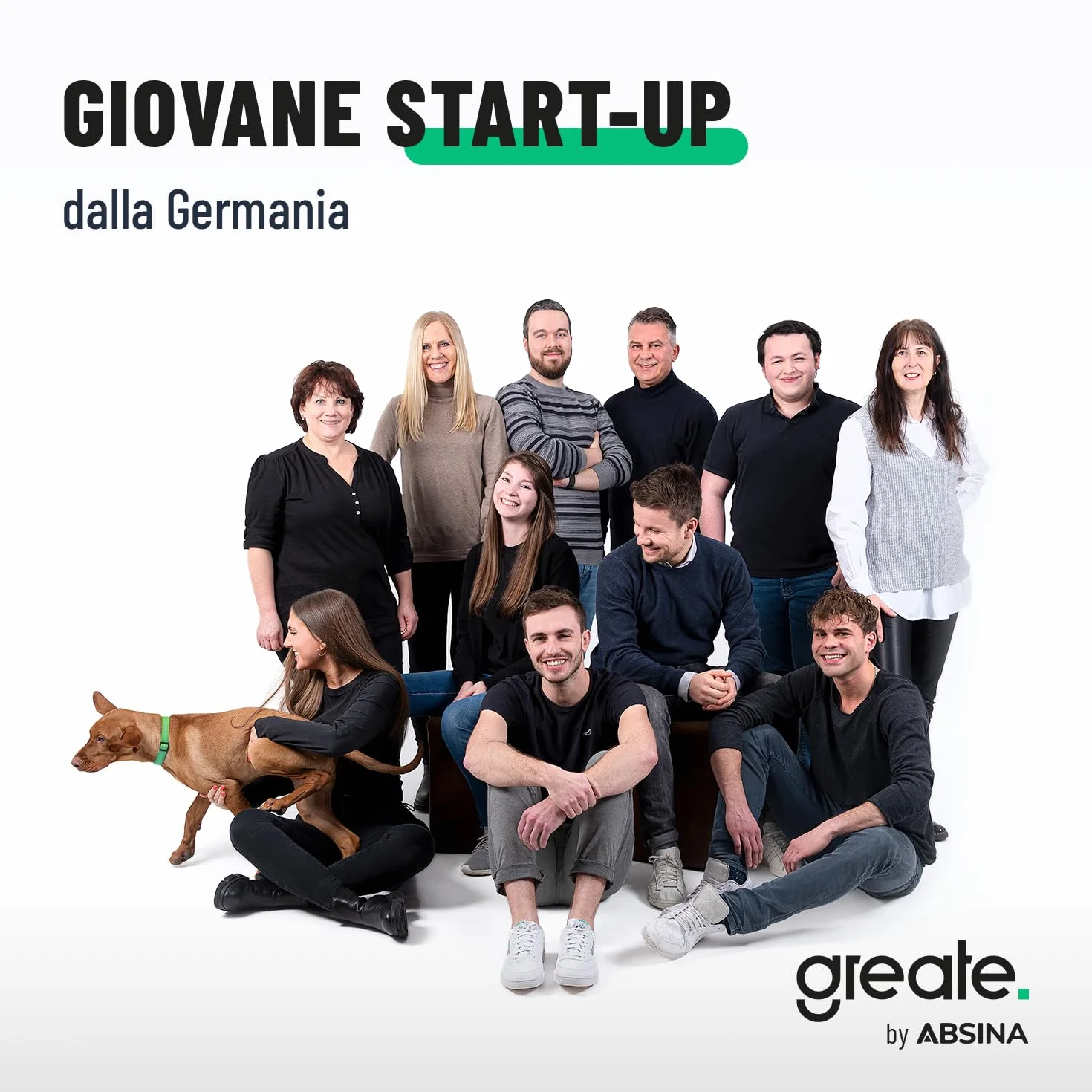 greate Cunei spaccalegna Manuale in Acciaio - Cuneo per spaccalegna Resistente all’Usura e Durevole in Acciaio C45 - Cunei spaca Legna