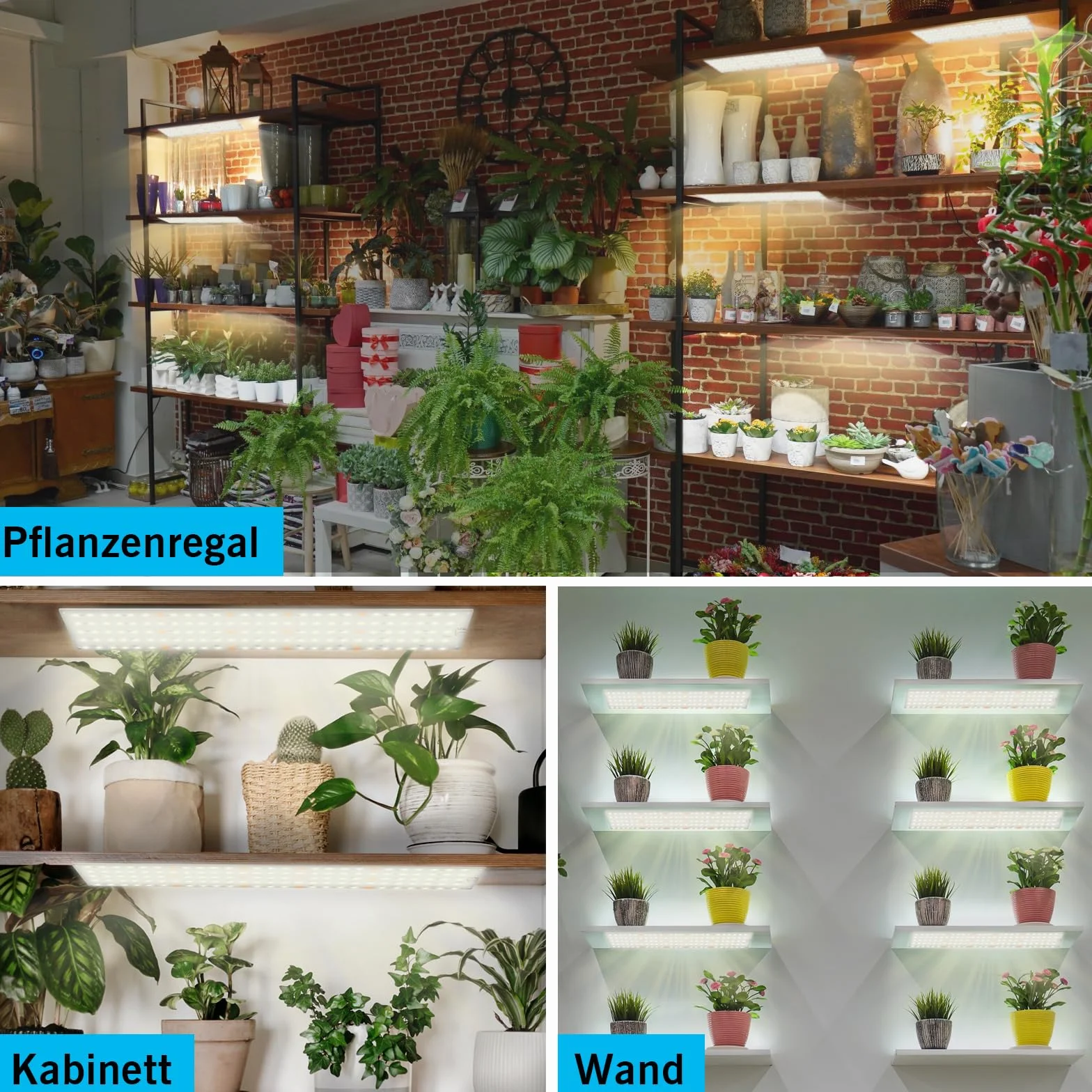 FIVAVA Lampada per Piante 4 Pezzi,LED Luce per Piante Full Spectrum,Grow Light con Timer Auto 3/9/12H,10 Einstellbare Helligkeitsstufen,3 Lichtmodi
