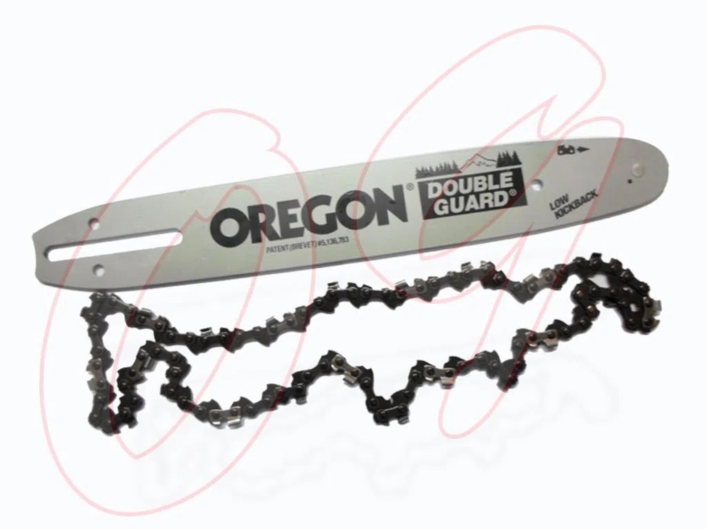 Lama/Barra con catena per motosega a scoppio 25cm oregon