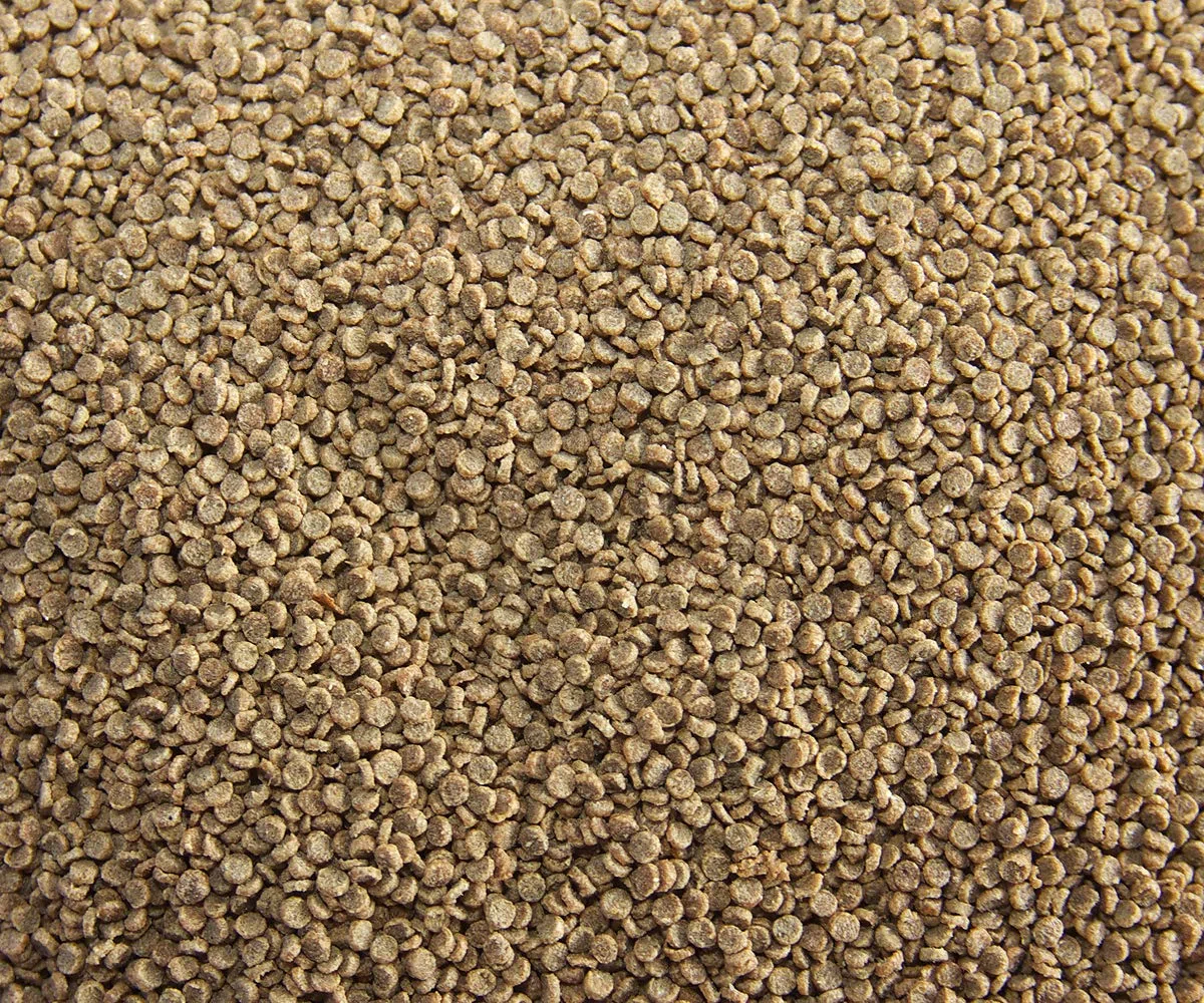 Mangime per pesci acquario, laghetto, pesci rossi e Koi, Genki4Fish Color&Growing Bits 1 kg leggermente affondante