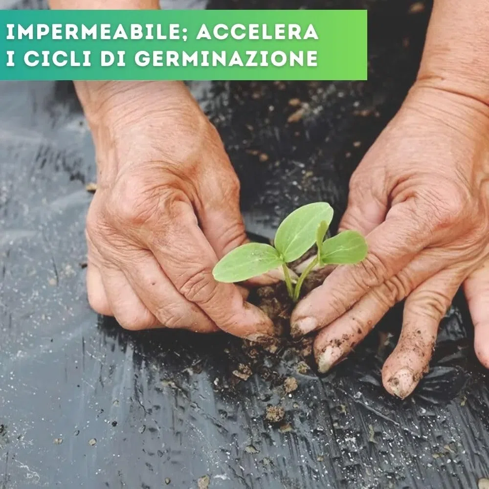 DI GIULIO SRL Telo Nero Pacciamatura 100 Metri x 1 Metro Larghezza con Fori Centrali Ogni 30 cm | Copertura Terreno Pacciamante Antierbacce | Bio Orto
